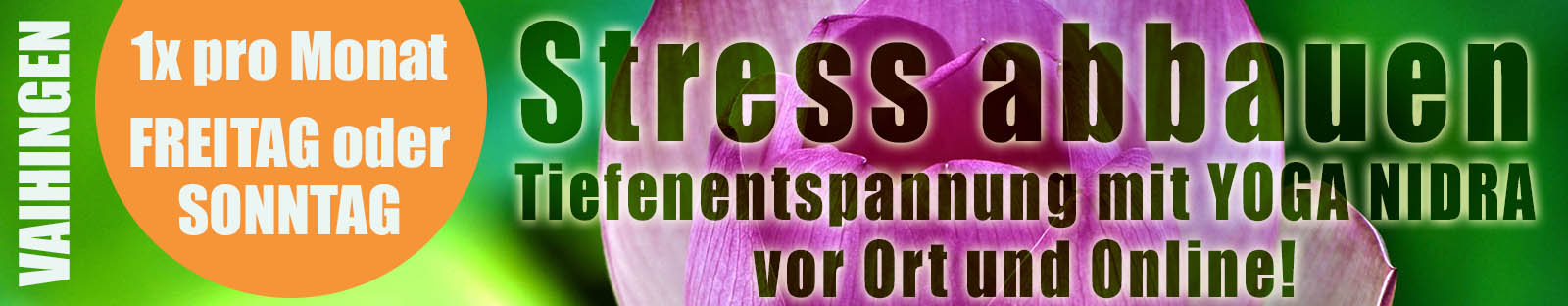 2020 09ff Nidra Vaihingen Online 1600