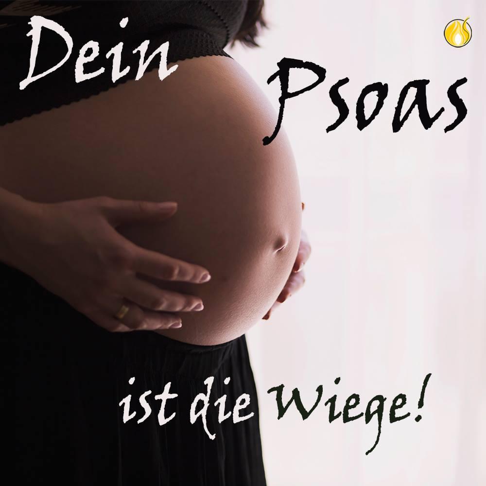 Dein Psoas ist die Wiege